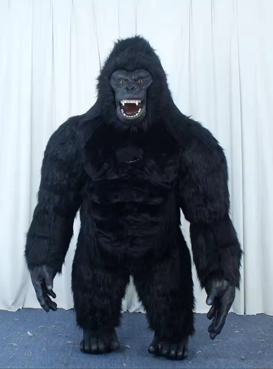 Gorilla