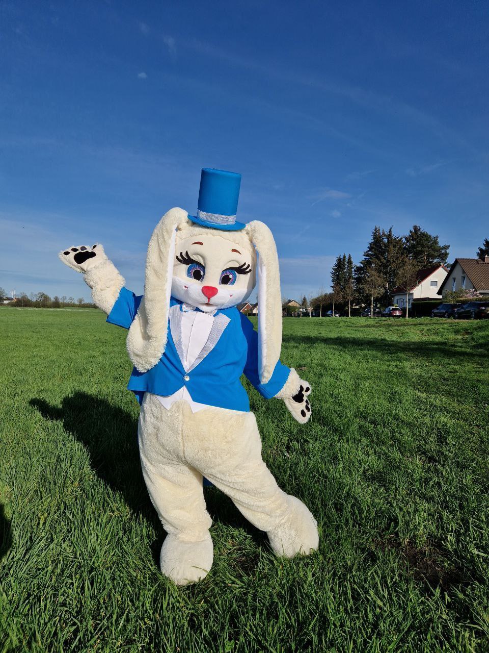 Häschen im blauen Frack