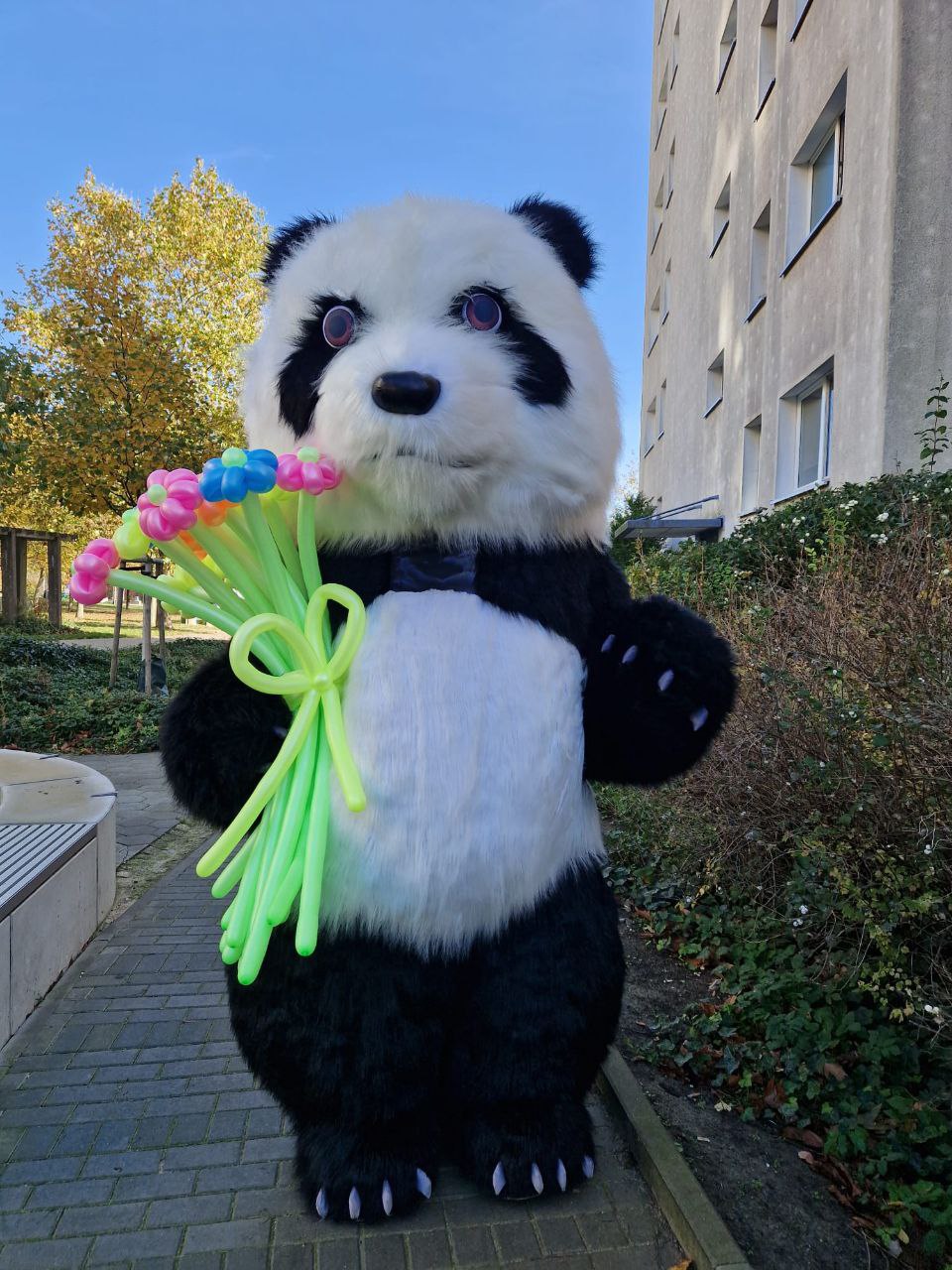 Panda