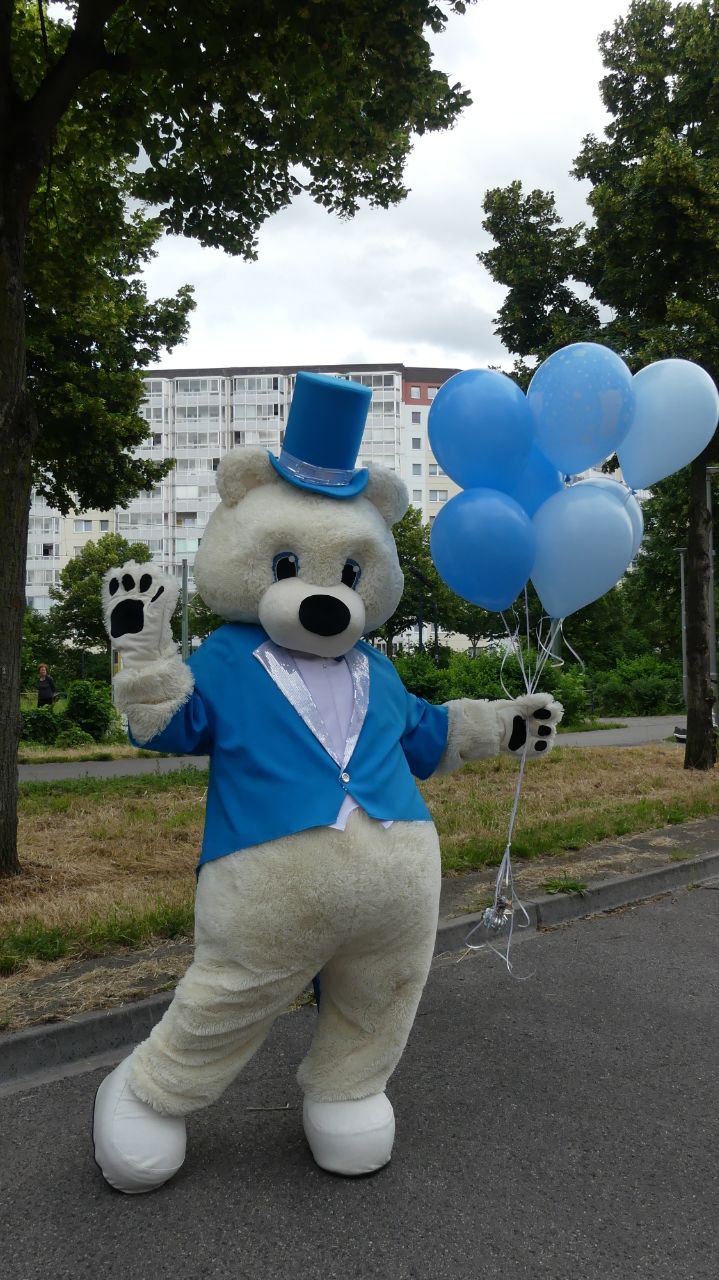 Teddy Bär im Frack